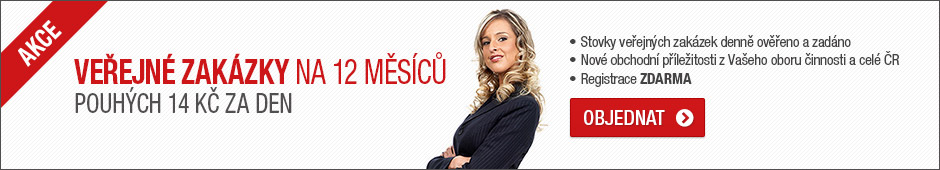 Veřejné zakázky na 12 měsíců